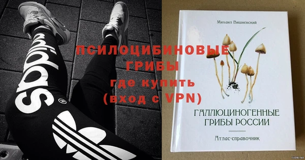 бошки Горнозаводск