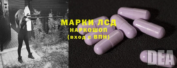 индика Новозыбков