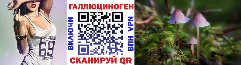 хочу   Западная Двина  OMG ссылки  Псилоцибиновые грибы прущие грибы 