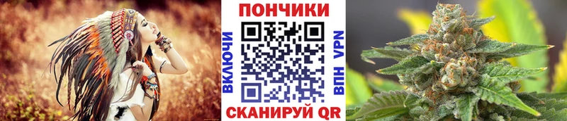 что такое   Западная Двина  Шишки марихуана Amnesia 